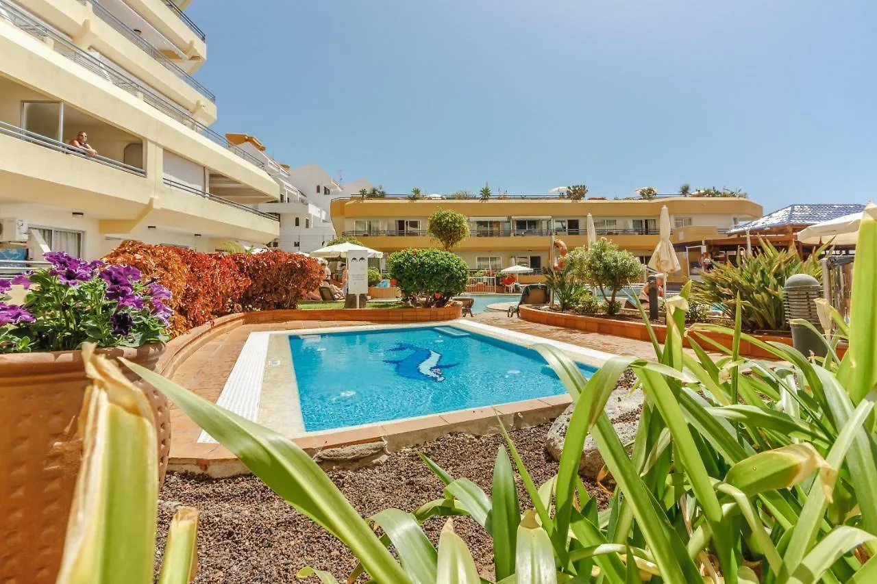 Aircon Next To Beach Costa Adeje Wifi Heated Pool Apartamento 0*, Costa Adeje (Tenerife)